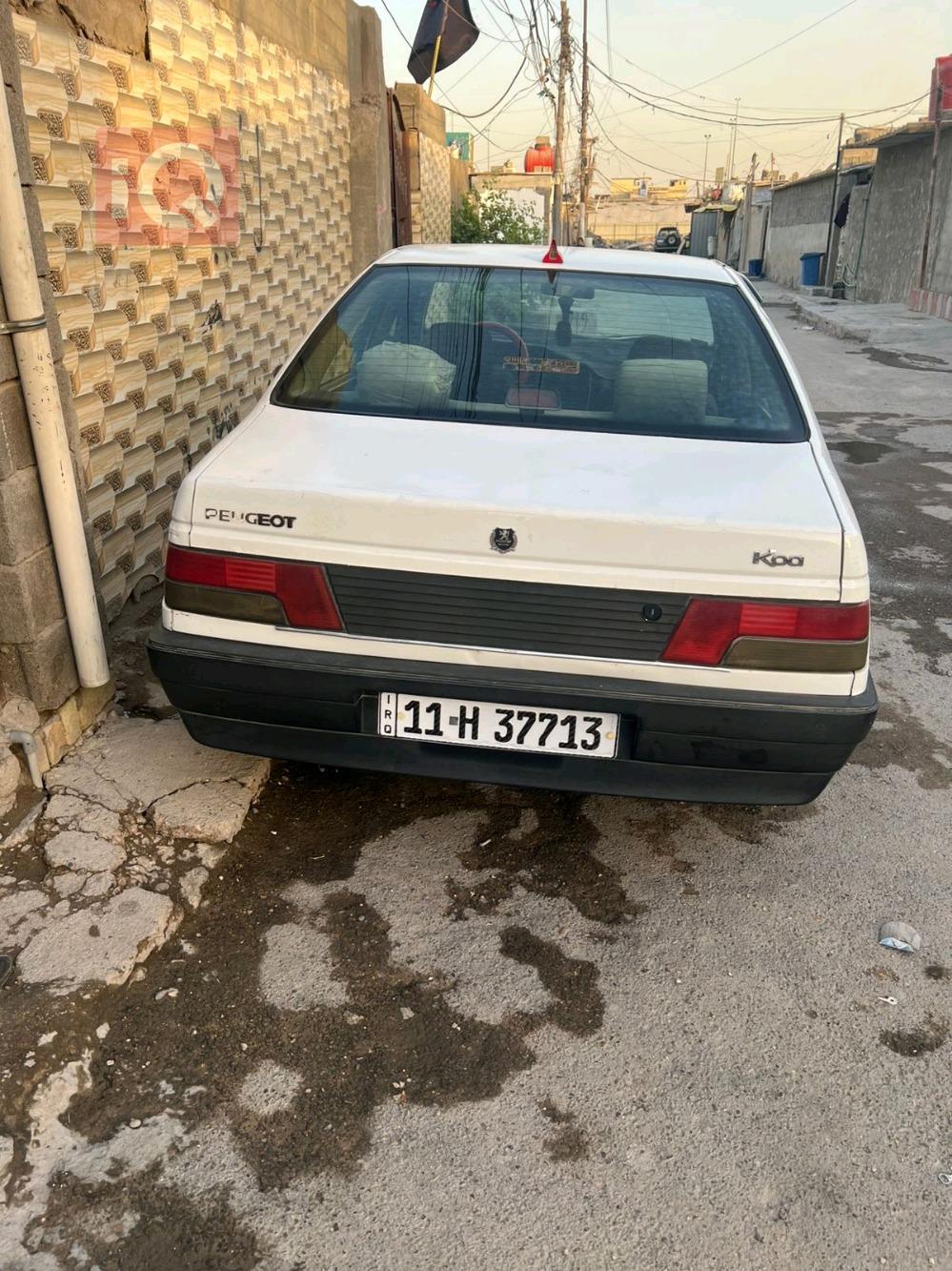 بيجو روا